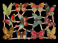 Glansbilledeark - Smukke sommerfugle